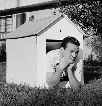 Ten Ways to Stay Out of the Doghouse